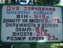 Клішківці . фотография #35 (источник - https://vk.com/id159259908)