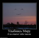 Фотография Синцова Олега