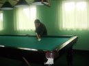 Павло Бекіш фотография #3 (источник - https://vk.com/id41817185)