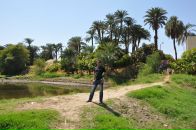 Фотография Saber Mohamed