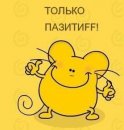 Фотография Гавриленко Анны