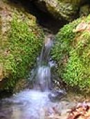 Cyrus __ фотография #41 (источник - https://vk.com/id2820677)