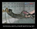 Стьопка Ільків фотография #44 (источник - https://vk.com/id73782671)