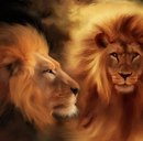 Леонид Лопухін фотография #34 (источник - https://vk.com/id144612841)