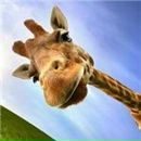 Фотография Новоселовой Наталии