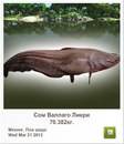 Сєрий Матвійшин фотография #9 (источник - https://vk.com/id111466338)