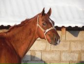 Сергій Ташко фотография #43 (источник - https://vk.com/id376751729)