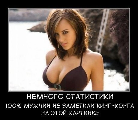 №6, Тарас Лобазов, 46 лет, Могилёв №6, Тарас Лобазов, 46 лет, Могилёв