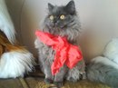 Надя Сапужак фотография #16 (источник - https://vk.com/id133188028)
