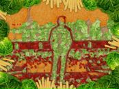 Рустам Давлетов фотография #23 (источник - https://vk.com/id337291)