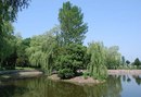 Івано Франківськ фотография #2 (источник - https://vk.com/id159583641)