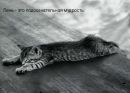 Фотография Татьяна Волковой Репетитор Русский Язык