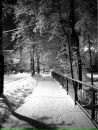 Марічка Височанська фотография #50 (источник - https://vk.com/id56662255)
