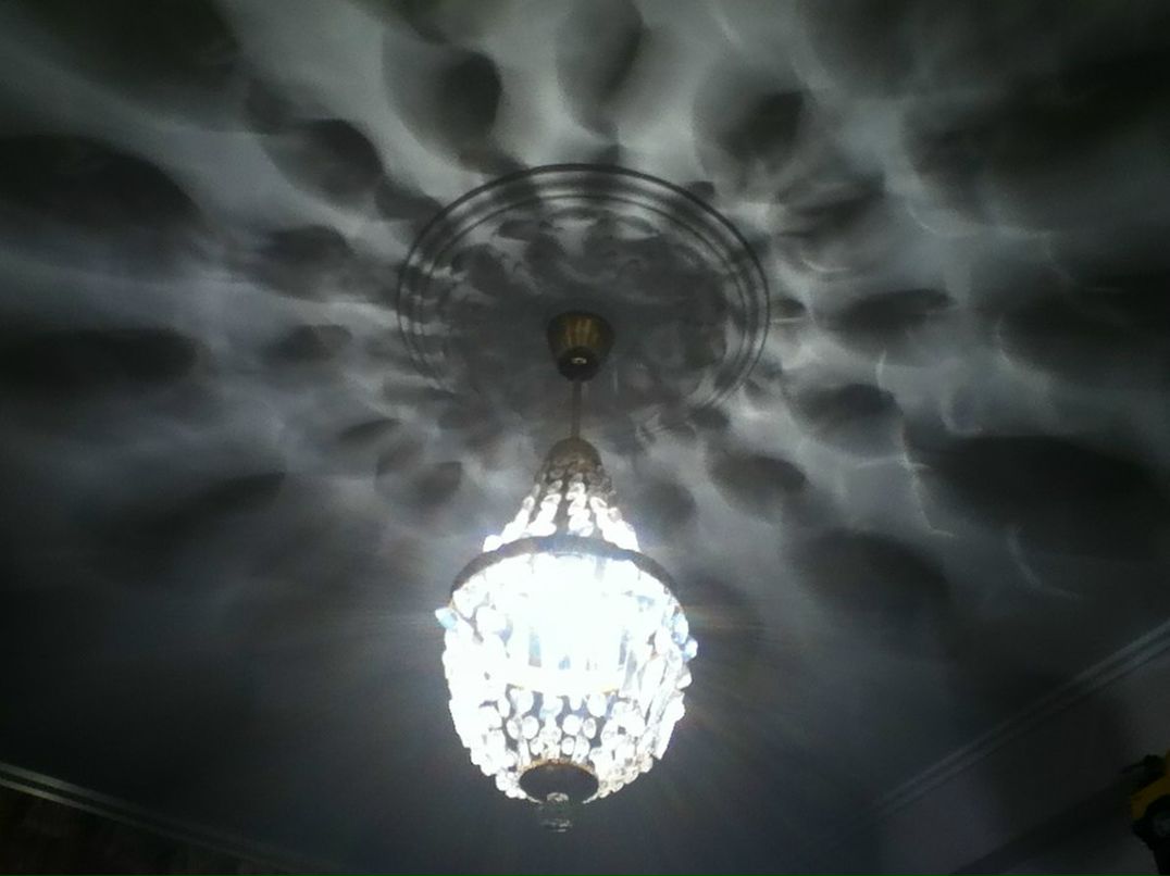 Илья Ципле фотография #35