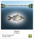 Діма Чейпеш фотография #18 (источник - https://vk.com/id160940576)