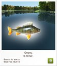 Діма Чейпеш фотография #33 (источник - https://vk.com/id160940576)