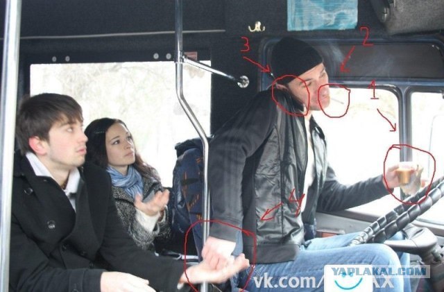 Corn B. фотография #4