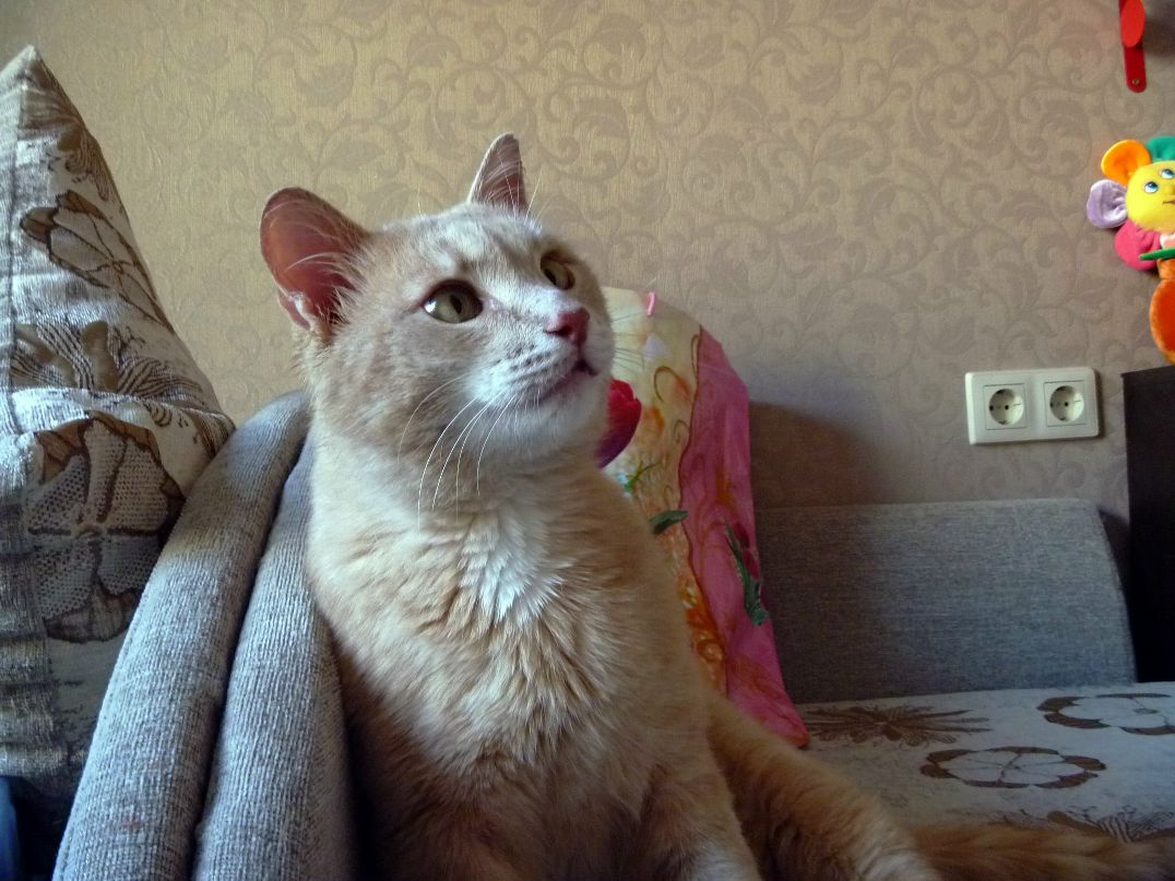 Софья Ленькова фотография #38