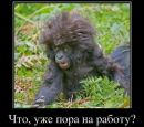 Фотография Ларионовой Оксаны
