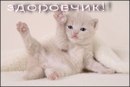 Вадім Шевкович фотография #5 (источник - https://vk.com/id165996492)