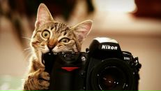 Фотография Добрыниной Даши