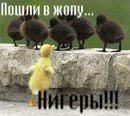 Юліан Глодов'юк фотография #11 (источник - https://vk.com/id137315958)