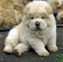 Влад Погорілко фотография #6 (источник - https://vk.com/id118198936)