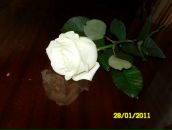 Фотография Пастуховой Екатерины