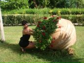 Фотография Грабовской Анны