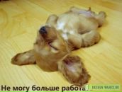 Фотография Мильчаковой Виктории