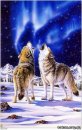 Noh Che фотография #8 (источник - https://vk.com/id2720993)