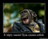 Фотография Гастелло Александра