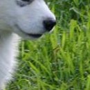 Наталя Кузів фотография #4 (источник - https://vk.com/id76628427)