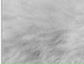 Ольга Гурнік фотография #31 (источник - https://vk.com/id112172004)