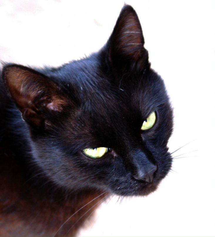 Михаил Щеглов фотография #7