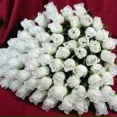 Фотография Соснин Сергей