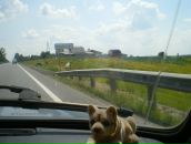 Лёня Молошников фотография #20 (источник - https://vk.com/id645325)