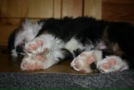 Фотография Побуцкой Анны