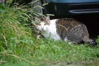 Константин Басалаев фотография #38 (источник - https://vk.com/id257097)