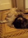 Ханя No_name фотография #6 (источник - https://vk.com/id79243332)