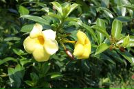 Тетяна Олексієнко фотография #22 (источник - https://vk.com/id16552331)