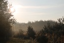 Надія Підвірна фотография #36 (источник - https://vk.com/id150818788)