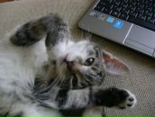 Фотография Ломоносовой Натальи