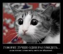 Сашко Поліщук фотография #18 (источник - https://vk.com/id21229730)