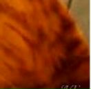 Вероніка Білан фотография #36 (источник - https://vk.com/id138551573)