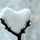 Віка Балагур фотография #44 (источник - https://vk.com/id147164719)