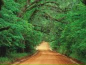 Ivan Кантоністий фотография #10 (источник - https://vk.com/id74783328)