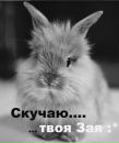Ліля Парадюк фотография #25 (источник - https://vk.com/id148278410)