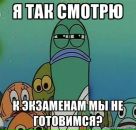 Фотография Сидоровой Анастасии