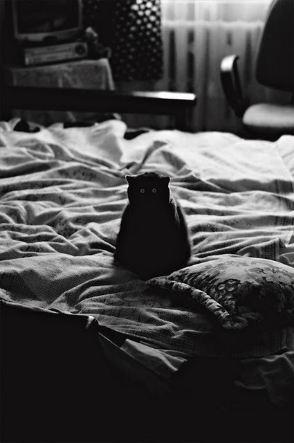 Max Bakaev фотография #18